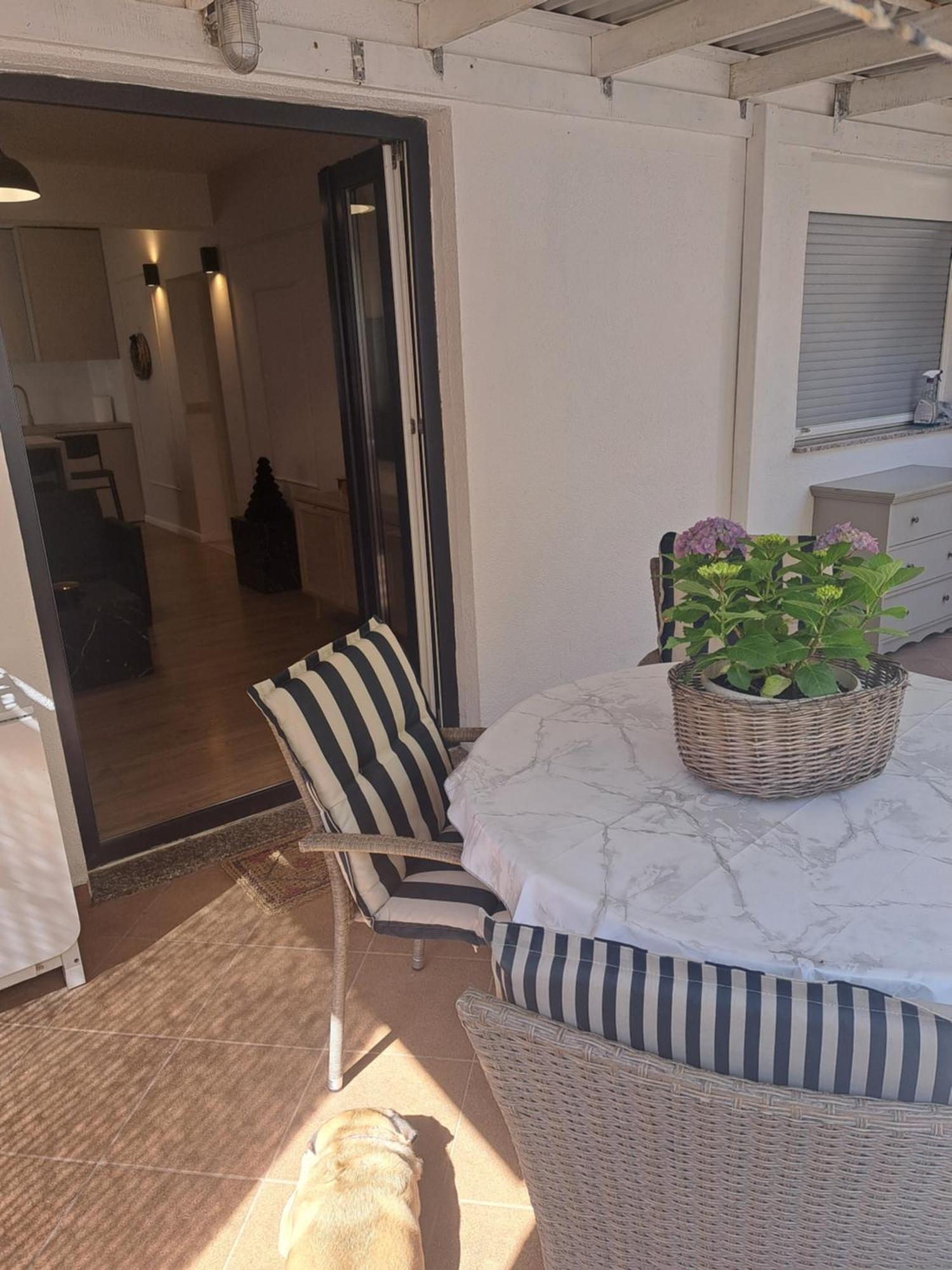 Apartman Petra ザダル エクステリア 写真