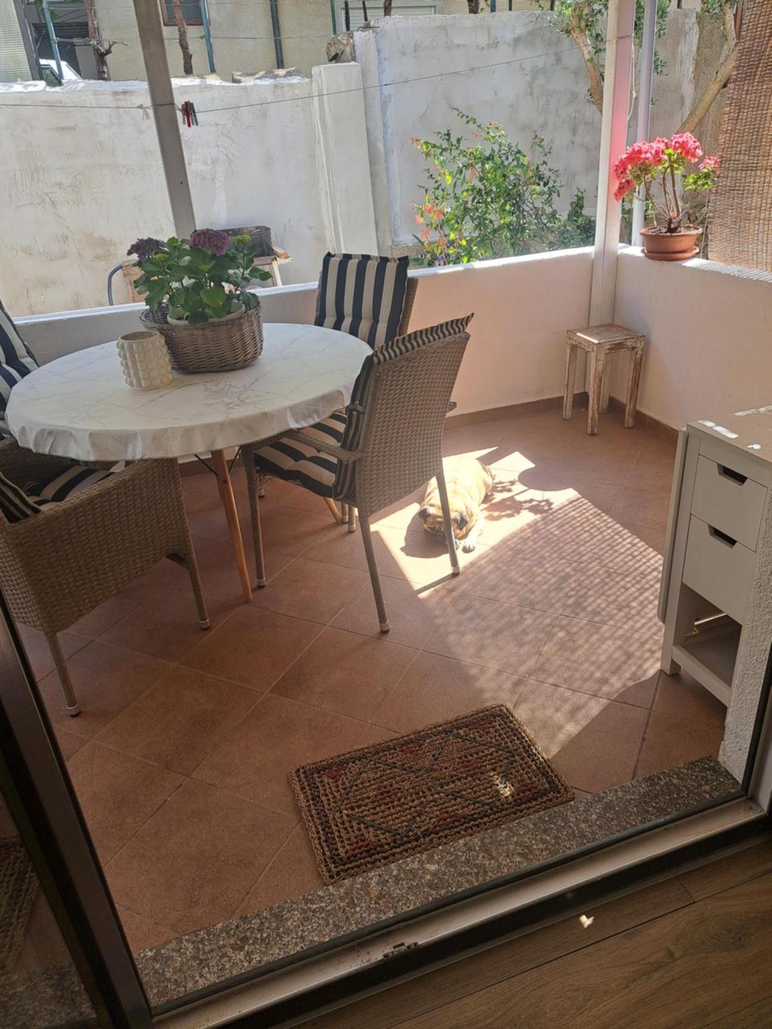 Apartman Petra ザダル エクステリア 写真